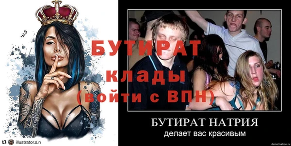 индика Новодвинск